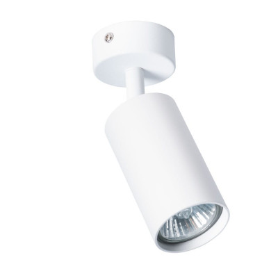 Потолочный светильник ARTE LAMP AQUARIUS A3216PL-1WH