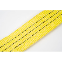 Текстильный строп СК СТП-3,0/6,0 CKSTPL.03000.003540