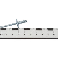 Заклепка SORREX широкий бортик 16 мм, сталь/сталь, 4,8х12, 100 шт. SSLA 48120 100