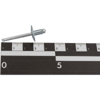 Заклепка SORREX широкий бортик 16 мм, сталь/сталь, 4,8х8, 100 шт. SSLA 48800 100
