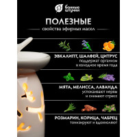 Аромалампа для бани и сауны Банные штучки Птицы 7.5x7.5x9.5 см, белая 40233