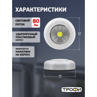 Светодиодный фонарь подсветка Трофи SB-101 пушлайт СОВ, 3хААА, белый, 1шт в пакете Б0052747