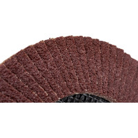 Диск лепестковый (125х22 мм; Р60) VOREL 7985