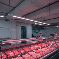 Светодиодный светильник Jazzway для подсветки мясных продуктов PLED T5i 1200 Food Meat 14Вт G13 IP40 5019997