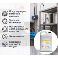 Ополаскиватель для посудомоечных машин КОНЦЕНТРАТ CleanBox Professional Deblank (Дебланк)5л 13085