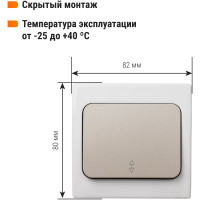 Переключатель одноклавшиный на 2 направления скрытой установки, серый TDM ELECTRIC IP54 10А серия "Вуокса" SQ1803-0103
