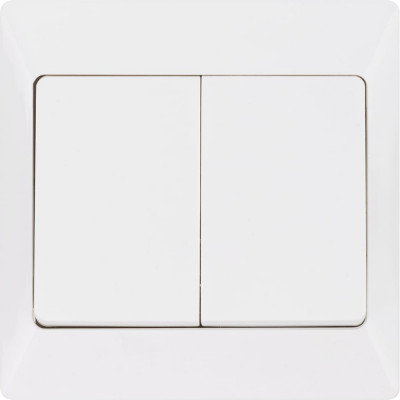 2-клавишный выключатель TDM ELECTRIC 10А белый "Ильмень" TDM ELECTRIC SQ1823-0002