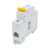 Выключатель нагрузки (мини-рубильник) IEK ВН-32 1Р 125А MNV10-1-125