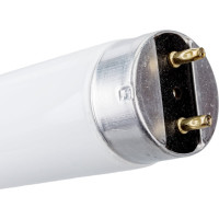 Линейная люминесцентная лампа Osram LUMILUX T8 18Вт 6500К G13 4058075693098