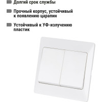 2-клавишный выключатель TDM ELECTRIC 10А белый "Ильмень" TDM ELECTRIC SQ1823-0002