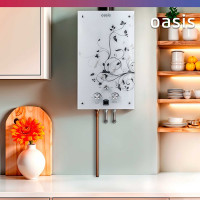 Газовый проточный водонагреватель Oasis Glass 20 ZG