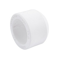 Заглушка PRO AQUA PP-R Белая d-25 мм PA15010Pb