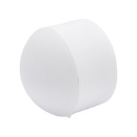 Заглушка PRO AQUA PP-R Белая d-25 мм PA15010Pb