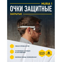Закрытые защитные очки Delta Plus MURIA1VD