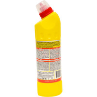 Чистящее средство DOMESTOS Свежесть цитруса 4601726004769