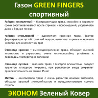 Семена GREEN FINGERS Спортивный газон 8 кг газон для спортивных полей, детских и игровых площадок 4607160333137