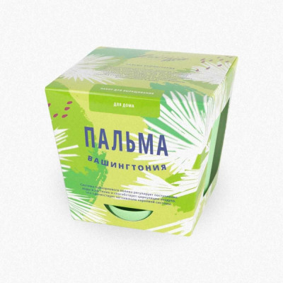 Тысяча листьев Набор для выращивания растений Пальма Вашингтония tl-013