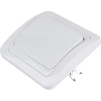 Одноклавишный выключатель TDM ELECTRIC 10А белый Валдай SQ1804-0001