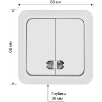 Выключатель TDM ELECTRIC 2-кл. открытой установки с подсветкой IP20 10А, белый серия "Ладога" SQ1801-0007