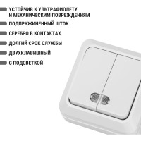 Выключатель TDM ELECTRIC 2-кл. открытой установки с подсветкой IP20 10А, белый серия "Ладога" SQ1801-0007