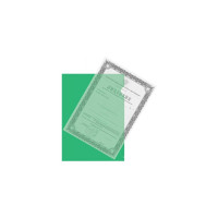 Папка-уголок Attache 150 мкм, зеленый 10 шт в упаковке 627967