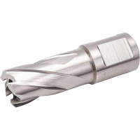 Сверло корончатое HSS по металлу (17х30/63 мм; Weldon 19) D.BOR CD-HSS-030-017-W