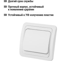 Одноклавишный выключатель TDM ELECTRIC 10А белый Валдай SQ1804-0001