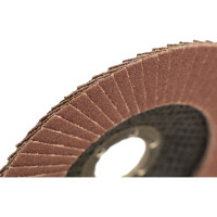 Круг лепестковый торцевой (125х22.23 мм; P120; корунд) CARBODISK Н0172135 00-00016555