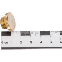 Латунная заглушка Профитт 1/4" НР 9279516