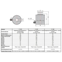 Гидравлический цилиндр с полым штоком Car-tool CT-3439