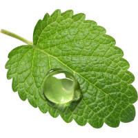 Успокаивающий бальзам для кожи после укусов насекомых и солнечных ожогов Алфавит Защиты 285