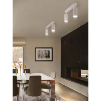 Поворотный накладной светильник Ritter Arton цилиндр, алюминий, 55x100x260, 2хGU10, белый 59989 0