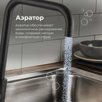 Смеситель для кухни AV Engineering SUS 304 AVZAR4-B304BK D35 черный AVZAR4-B304BK-737