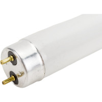 Люминесцентная лампа Camelion FT8-10W/54 Daylight 6500K 10 Ватт 3006