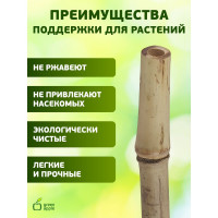 Бамбуковая поддержка GREEN APPLE GBS-10-180 180 см, 10 мм, 5 шт Б0008339