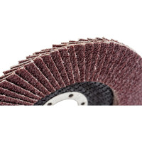 Круг лепестковый торцевой (125х22.23 мм; Р60) REDVERG 6624174