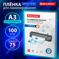 Пленки-заготовки для ламинирования BRAUBERG АНТИСТАТИК, комплект 100 шт., 531796