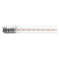 Светодиодная лампа Jazzway  PLED T8-900 PPG Agro 12Вт T8 линейная G13 CL для растений красн./син. спектр 5037410