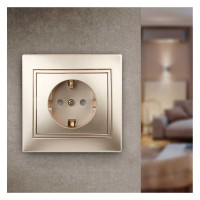 Розетка Intro 2PE Schuko со шторками, 16А, 250В, IP20, СУ, Plano, шампань Б0030075