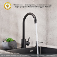 Смеситель для кухни РМС SUS124BLK-017F