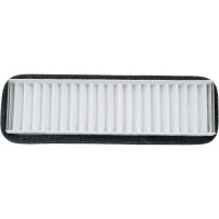 Фильтр салона для а/м ГАЗ 3302, 2705 Riginal RG3302-8122010