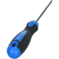 Отвертка HOEGERT TECHNIK TORX T10, 100 мм, сталь S2 HT1S053
