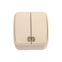 Выключатель слоновая кость 2-клавишный открытой установки с подсветкой TDM ELECTRIC IP20 10А, серия "Дача" Народная SQ1824-0017