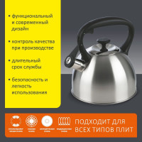 Чайник Mallony POESIA объём 2.5 л из нержавеющей стали со свистком, матовый 985617