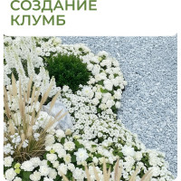 Садовый пластиковый бордюр ГеоПластБорд Манго для дачи высота 55 мм, 10 м, цвет зелёный GPBG55.10.30.Gr
