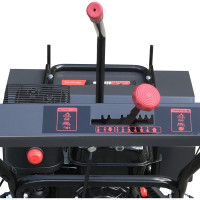 Подметальная машина бензиновая Evoline SWG 620 SWG620