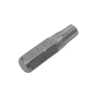 Бита WP T30, 25 мм, 2 шт RITTER PS20193021