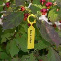 Набор садовых подвесных табличек МУЛЬТИДОМ 25 шт. VL83-31