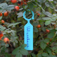 Набор садовых подвесных табличек МУЛЬТИДОМ 25 шт. VL83-31