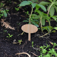 Набор садовых табличек МУЛЬТИДОМ 8 шт., размер 6x10 см VL83-33